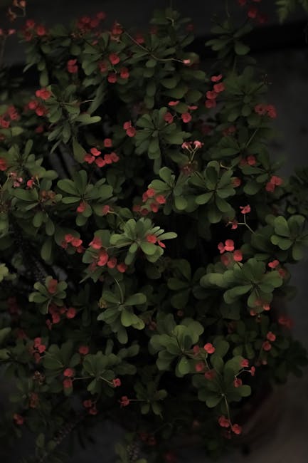 Flowers & Plants - Lush shrub with green leaves and many small pink #8115819